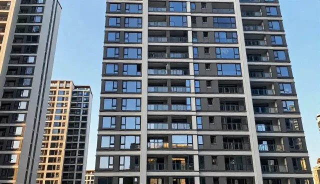 域名选择依据与运营建议，明确适用情况与限制